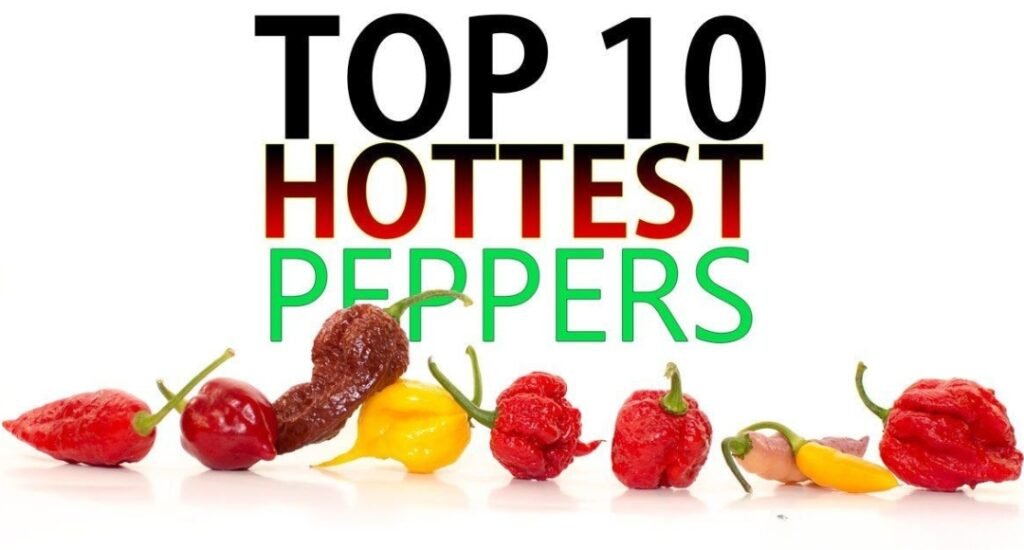 Journey into fire: the top ten hottest chili peppers in the world
