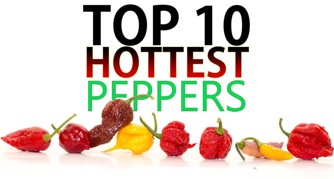 Journey into fire: the top ten hottest chili peppers in the world